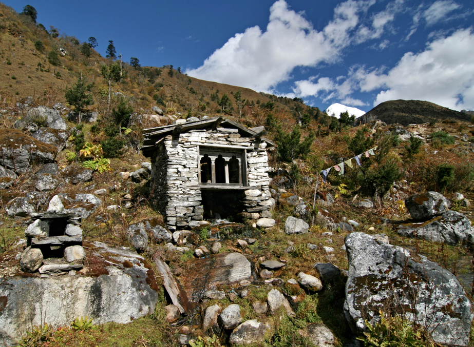 Visit the Jigme Dorji National Park