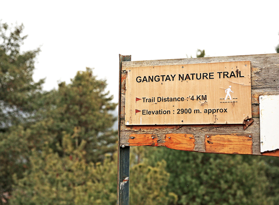 Gangtey Nature Trail