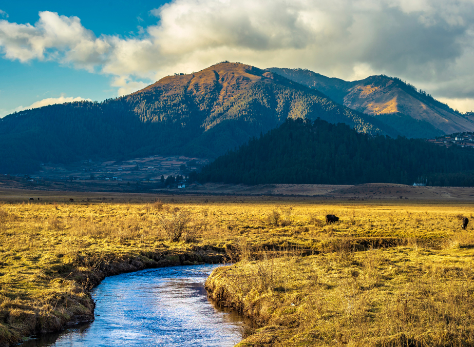 Phobjikha Valley