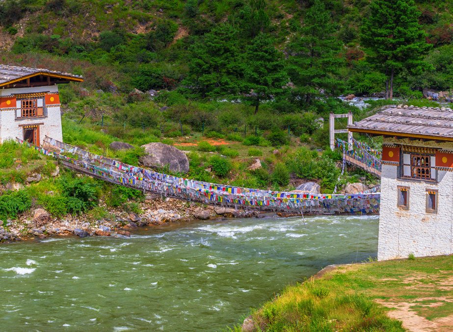 Walk Past Punakha Suspension Bridge