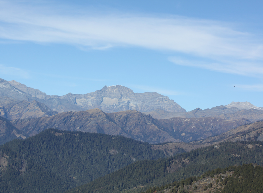 Torsa Strict Nature Reserve