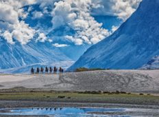 Tour to Ladakh with Turtuk