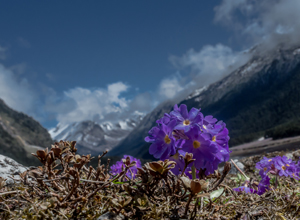 gangtok tourist places name