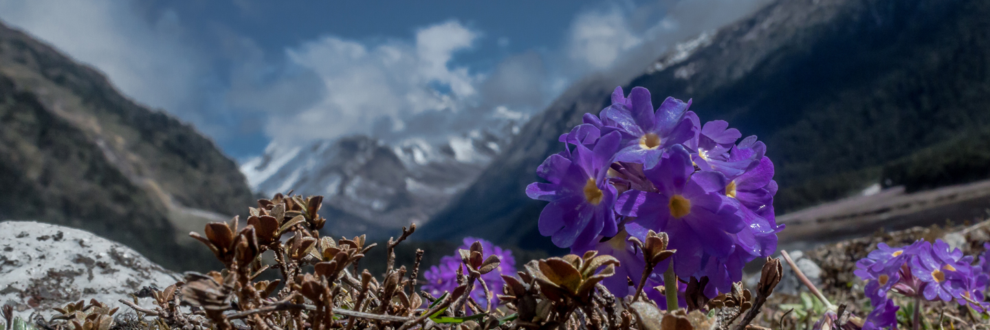 sikkim tour with family