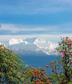 pelling yuksom ravangla tour