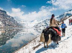 best north sikkim tour operators