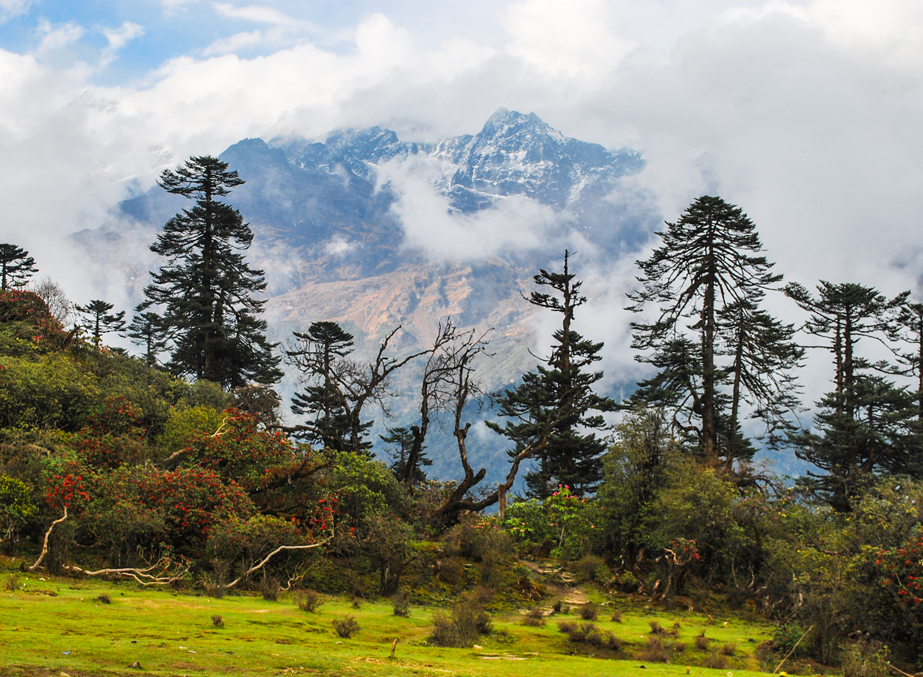 sikkim places to visit in june