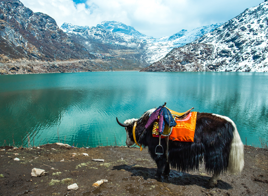 Image result for Lake Tsomgo, Sikkim