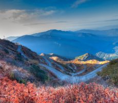 sikkim local tour