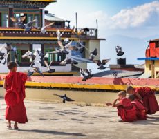 east sikkim tour packages from njp