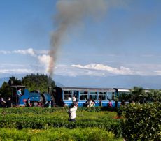 zuluk tour guide