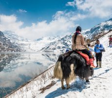 best time to visit zero point sikkim