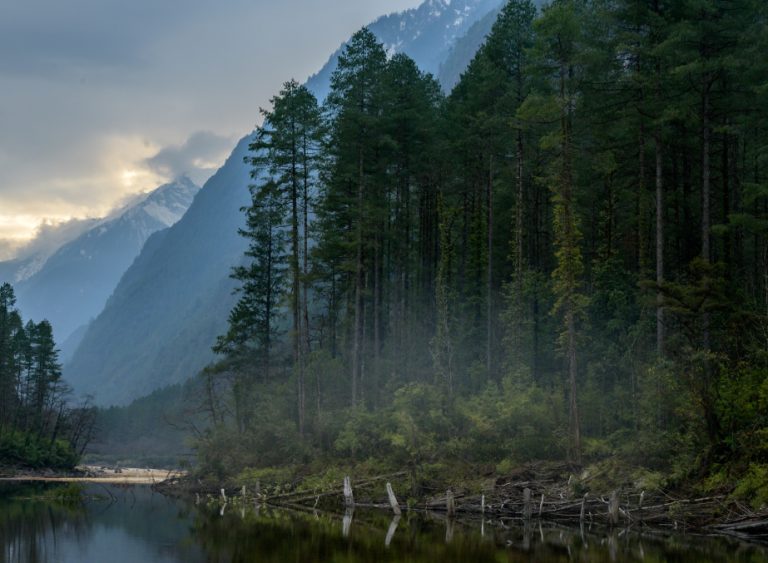 Best Time To Visit Arunachal Pradesh ESikkim Tourism