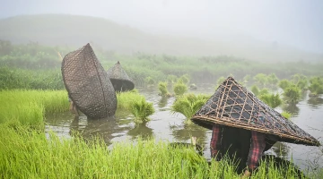Alluring Northeast Triangle Tour Package